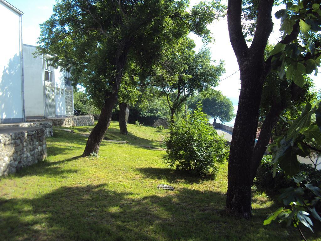 Guest House Morska Grota Povile Esterno foto